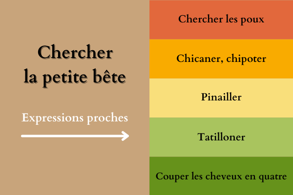 Chercher la petite bête, expressions proches