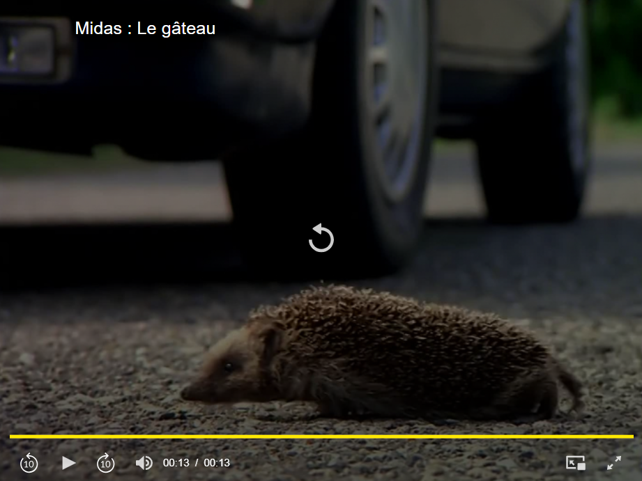 Dans la vie faut pas s'en faire